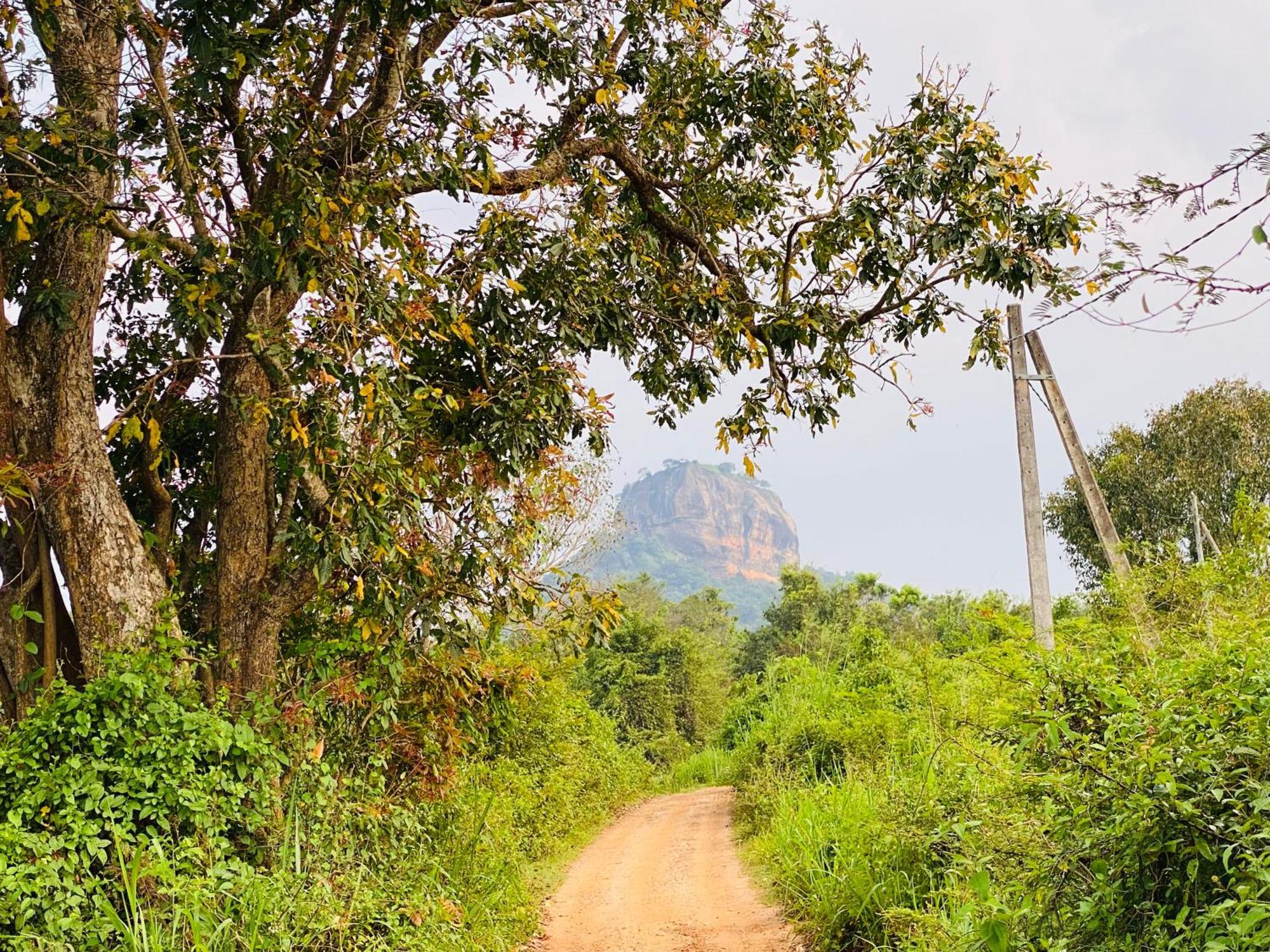 Hotel Sigiriya Kele Ngoại thất bức ảnh
