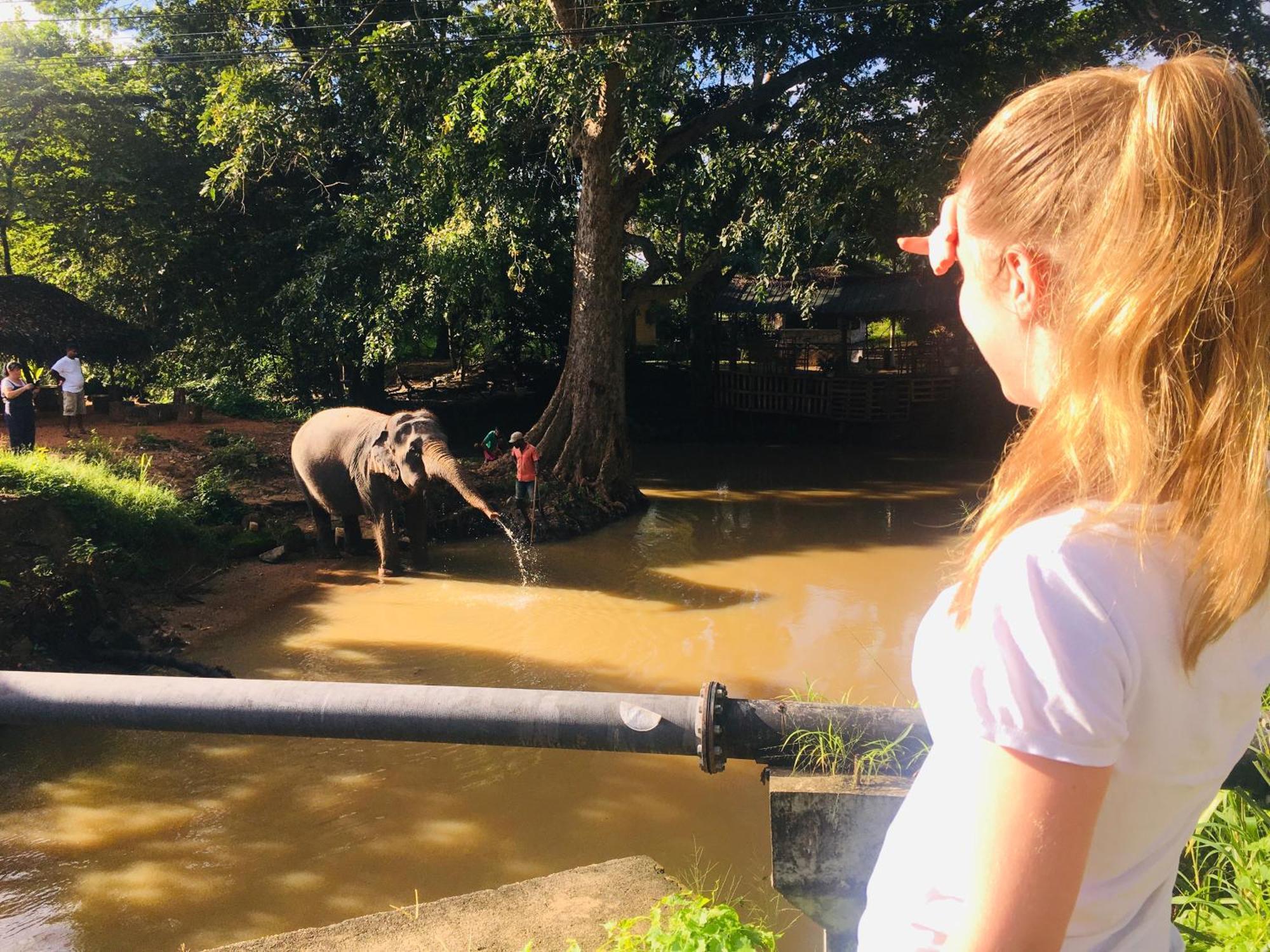 Hotel Sigiriya Kele Ngoại thất bức ảnh